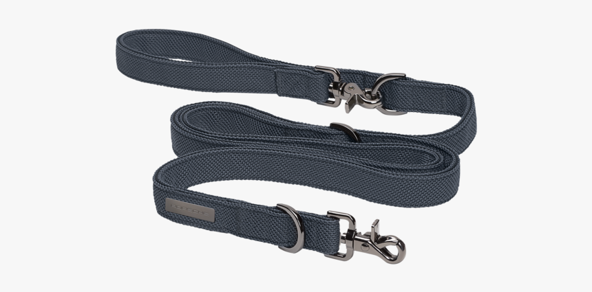 Dog Leash Png, Transparent Png