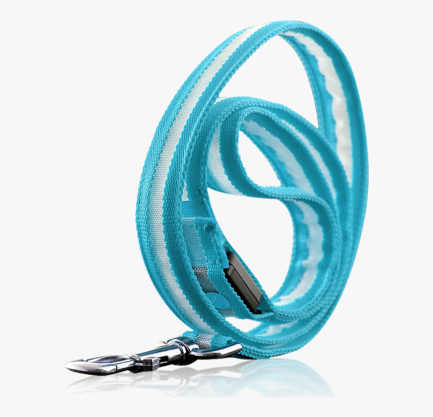 Dog Leash Png, Transparent Png