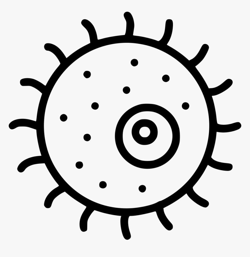 Cell Animal Plant Biology, HD Png Download