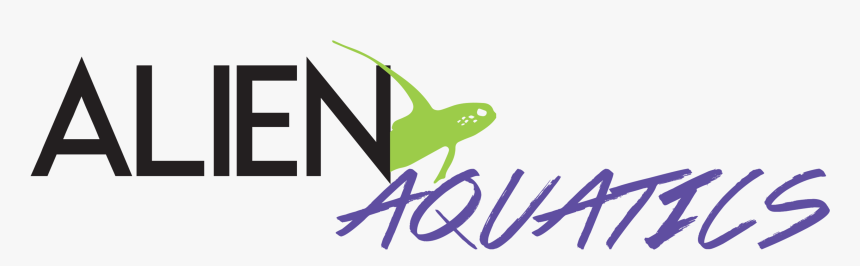 Tumblr Summer Banners Tropical Banners Mtm Png Tumblr, Transparent Png