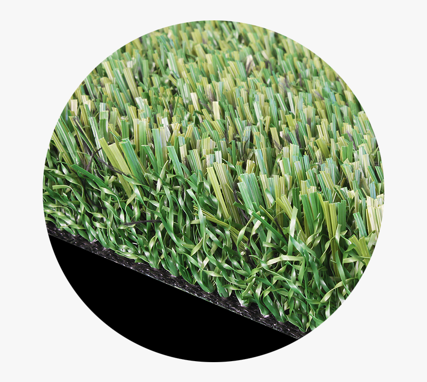 Shortcode Image - Wood, HD Png Download