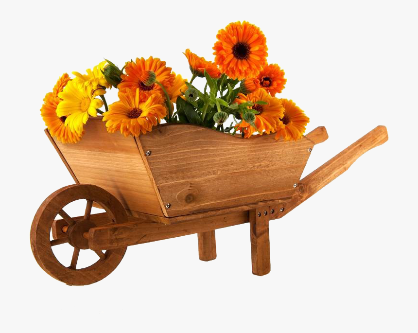Wheelbarrow Flower Marigold Photography, HD Png Download