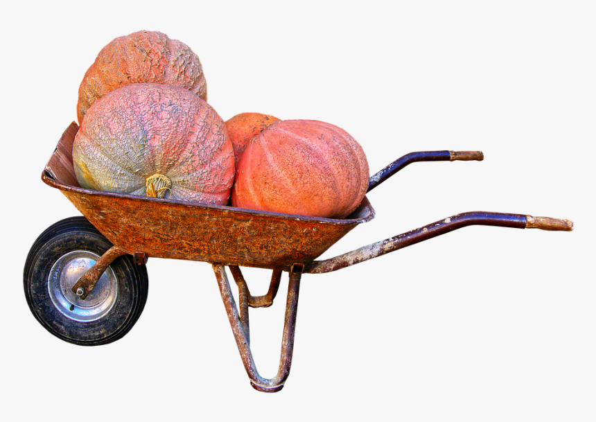 Pumpkin, Giant Pumpkin, Wheelbarrow, Autumn, HD Png Download