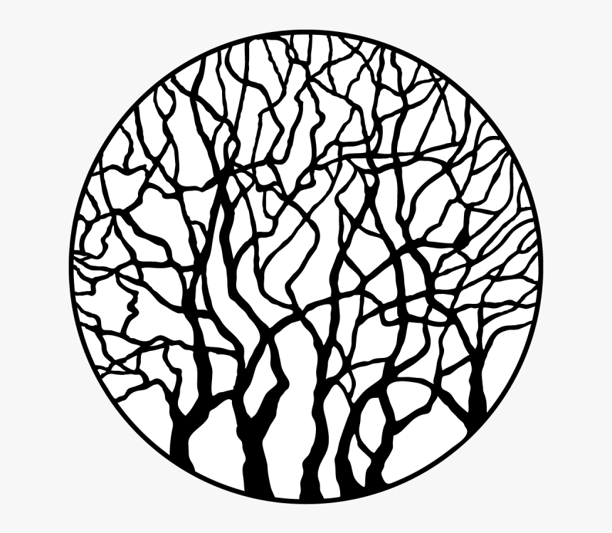Leafless Trees , Png Download, Transparent Png