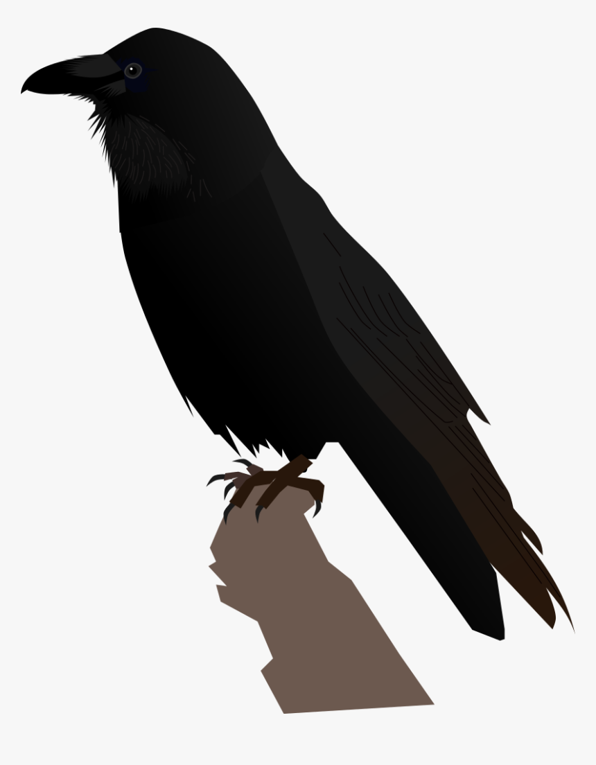 Transparent Raven Feather Png, Png Download