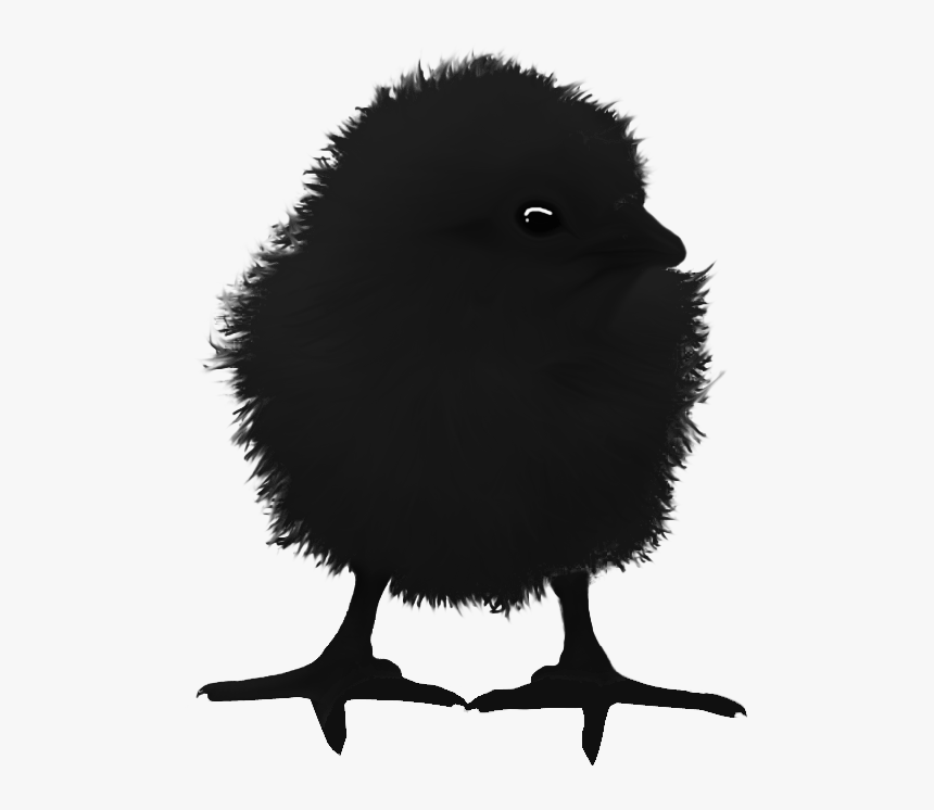 Raven Chick - Illustration, HD Png Download