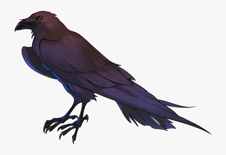 Transparent Raven Feather Png, Png Download