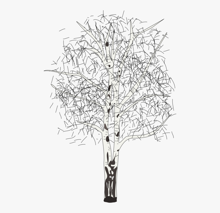 Line Art,plant,flora, HD Png Download