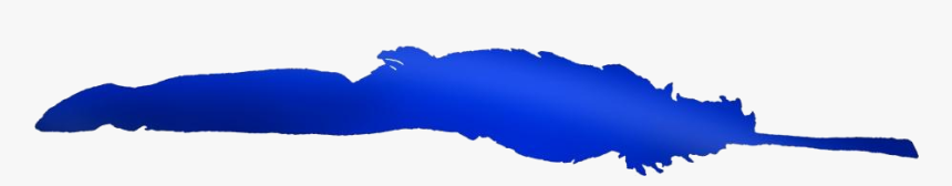 Bird Feather Png Hd Transparent Image, Png Download