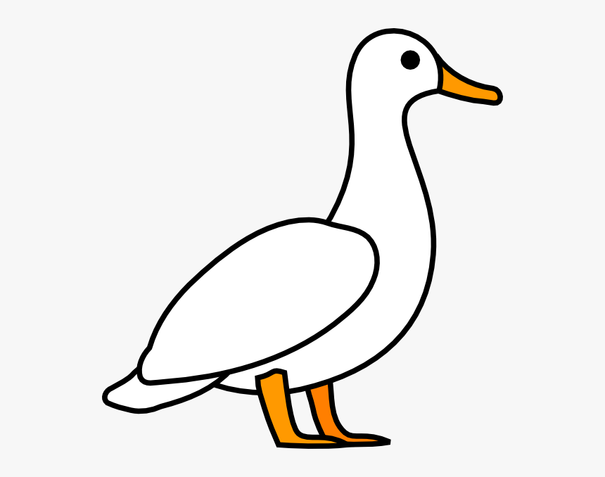 American Pekin Duck Mallard Clip Art, HD Png Download