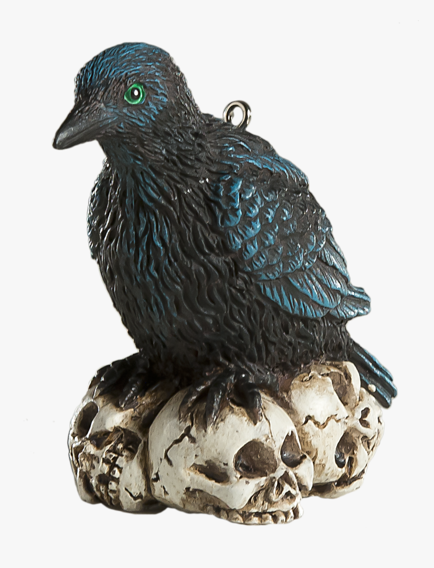 Raven Feather Png, Transparent Png