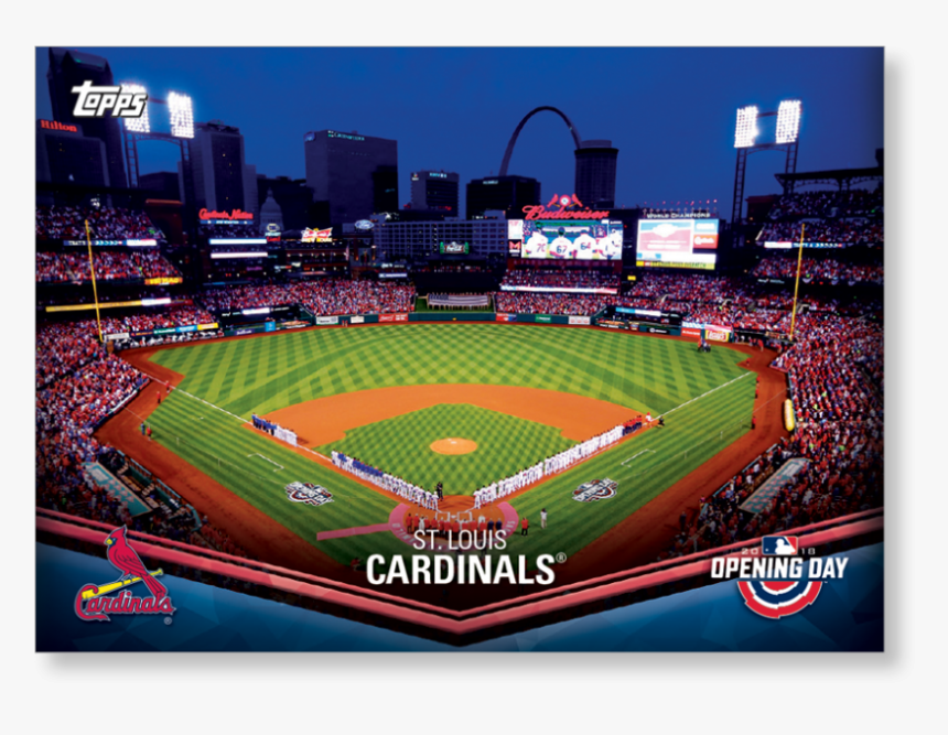 Louis Cardinals Photo Mint Coin-bronze , Png Download, Transparent Png