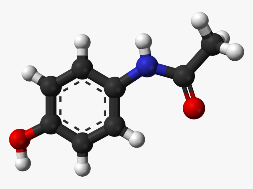 Human, HD Png Download