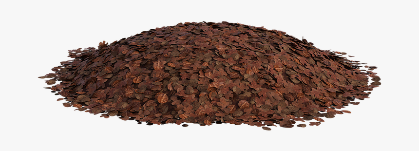 Pile Leaves, Autumn, Rake, Fall, Nature, Colorful, HD Png Download