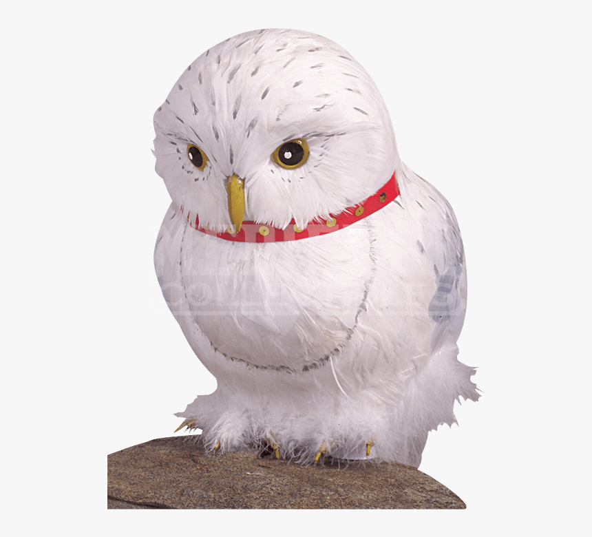Hedwig The Owl Prop, HD Png Download