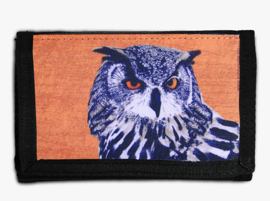 Hedwig Png, Transparent Png