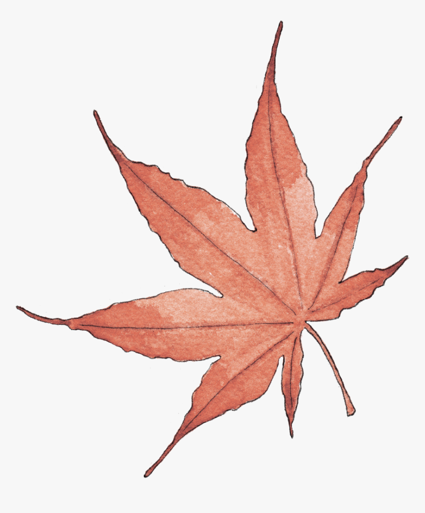 Illustration By Helen Krayenhoff, HD Png Download