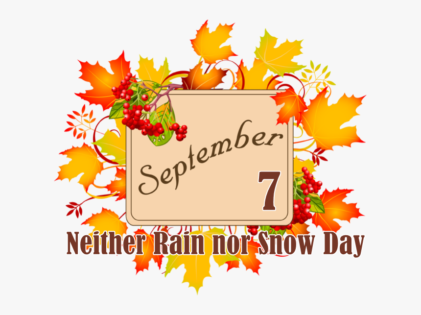 Kathy Curry Featuring Puppy Pile, HD Png Download