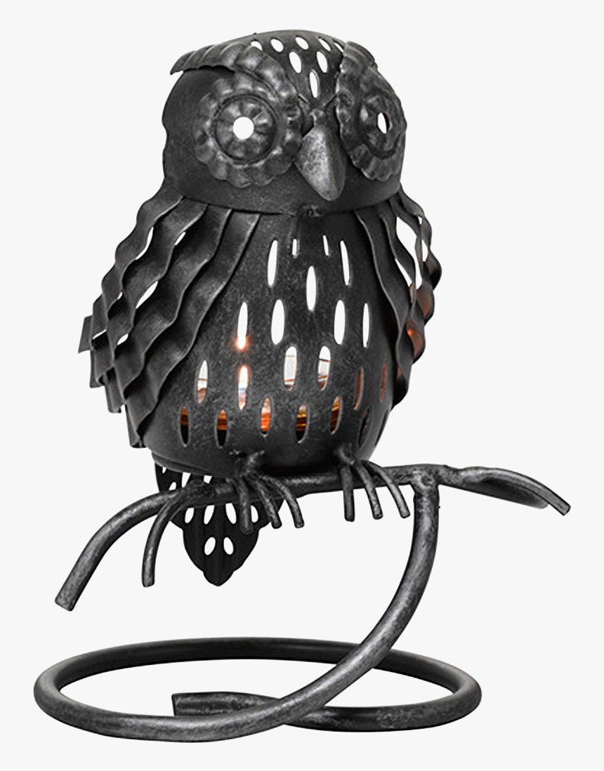 Fh18 P92906 Web, HD Png Download