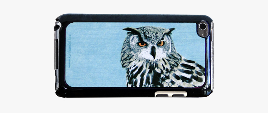 Hedwig Png, Transparent Png