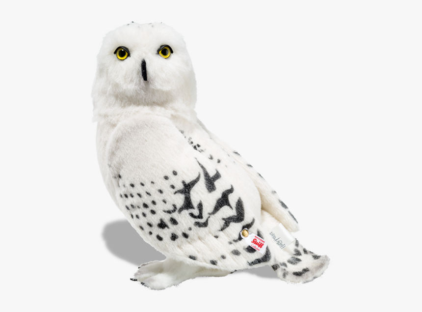 Hedwig Png, Transparent Png