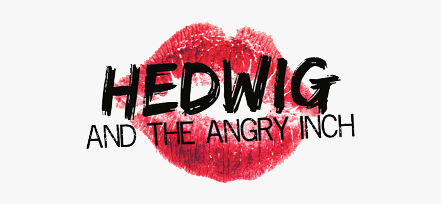 Hedwig Png, Transparent Png