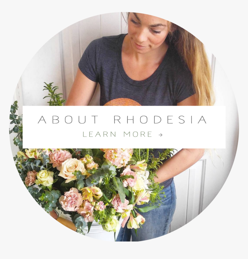 Cta Buttons Homepage-01, HD Png Download