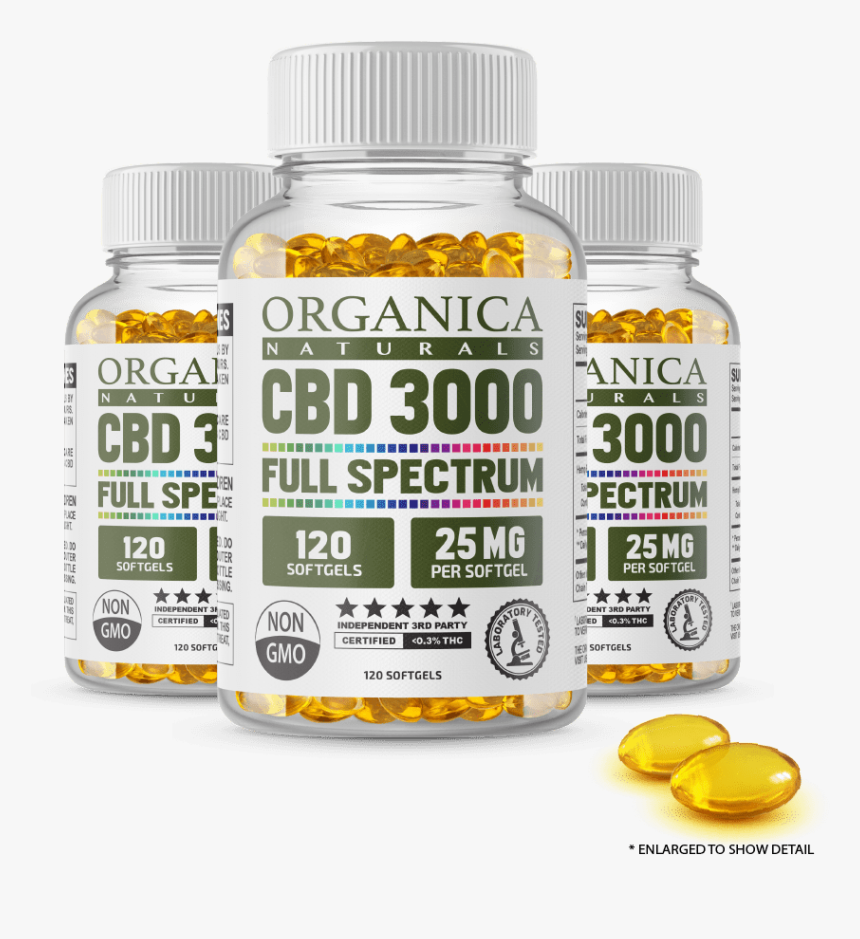 Medicine Capsule Png, Transparent Png