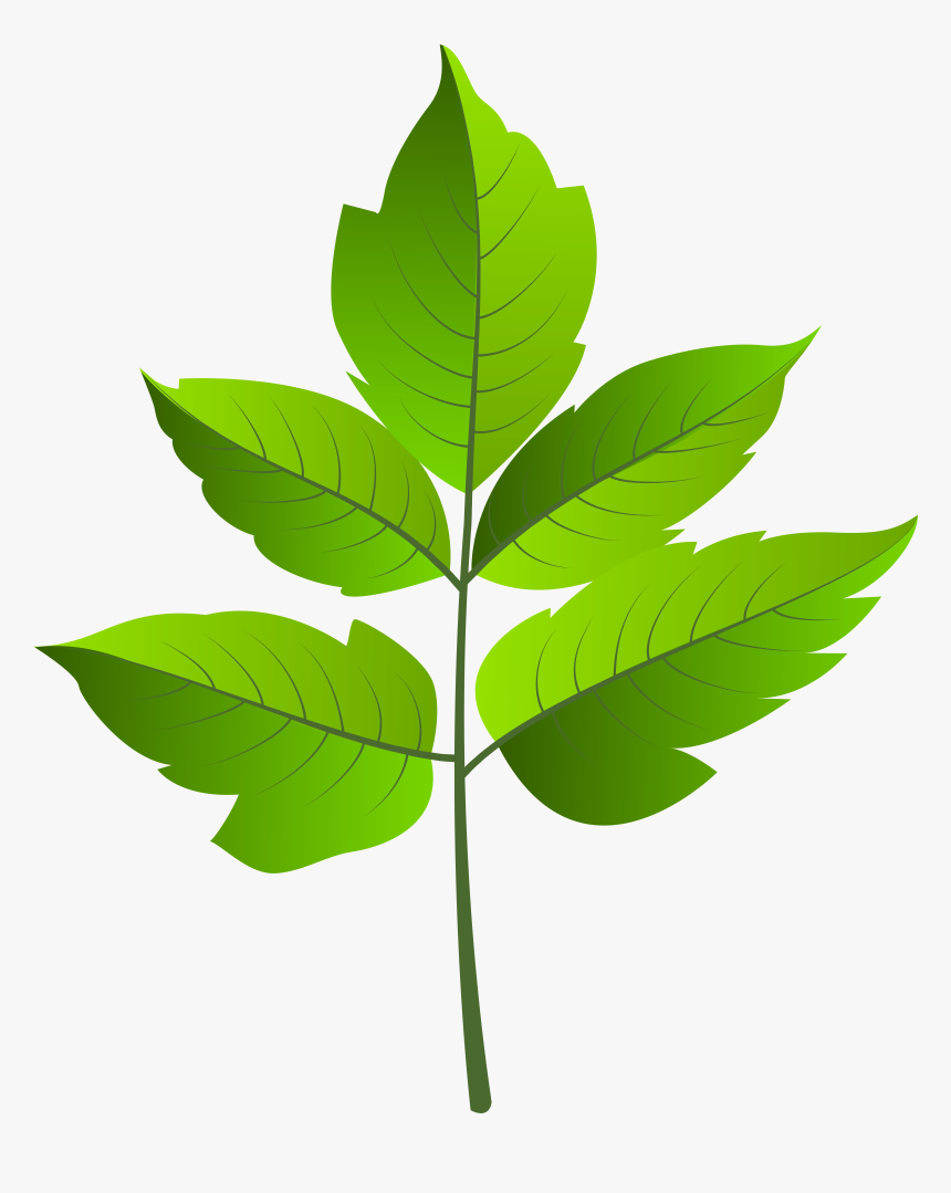 Leaf Green Png Clip Ar, Transparent Png