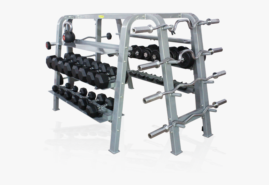 Dumbbell & Barbell Rack For Commercial Gym,wholesale, HD Png Download