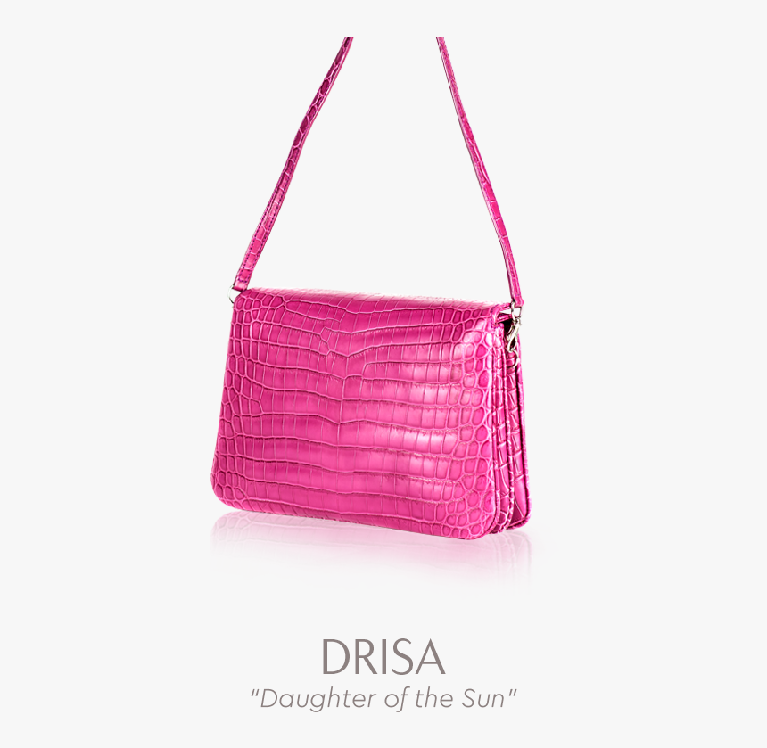 Hand Bags Png, Transparent Png