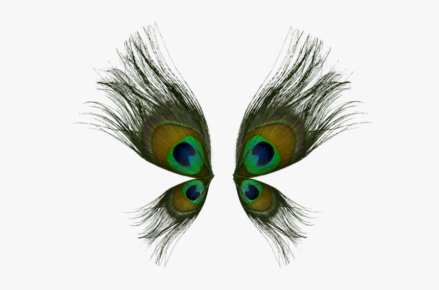 Peacock Wings Png, Transparent Png