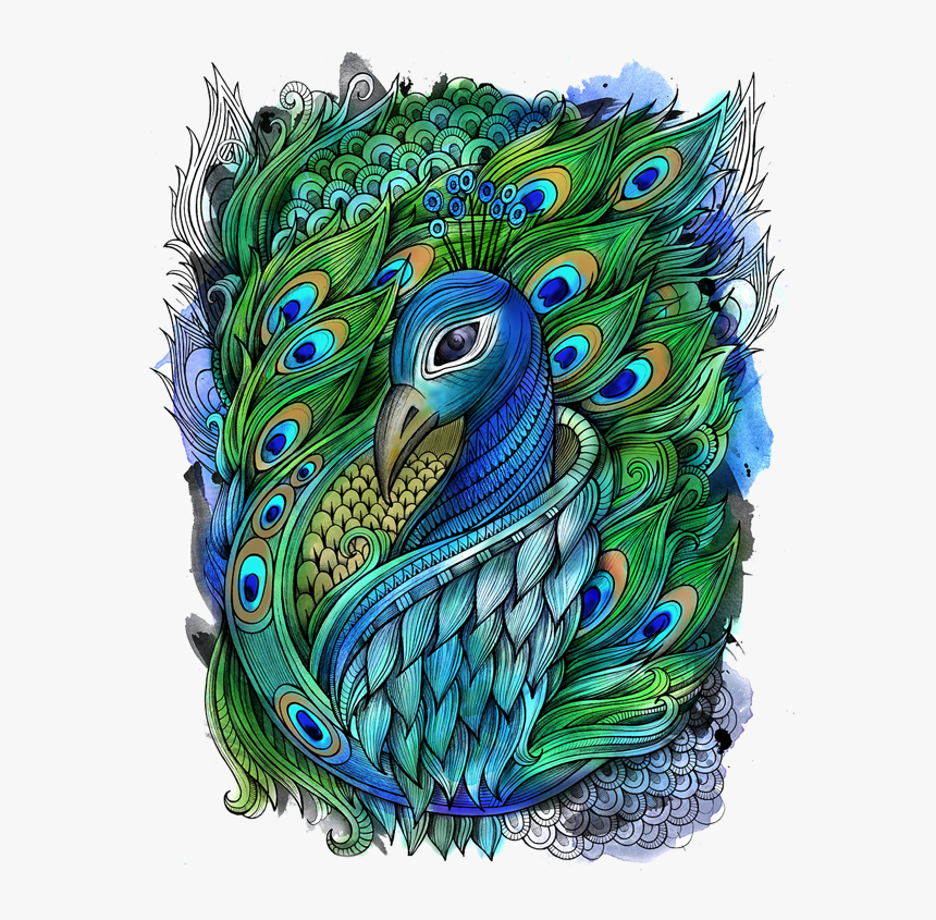 Transparent Peacock Wings Png, Png Download