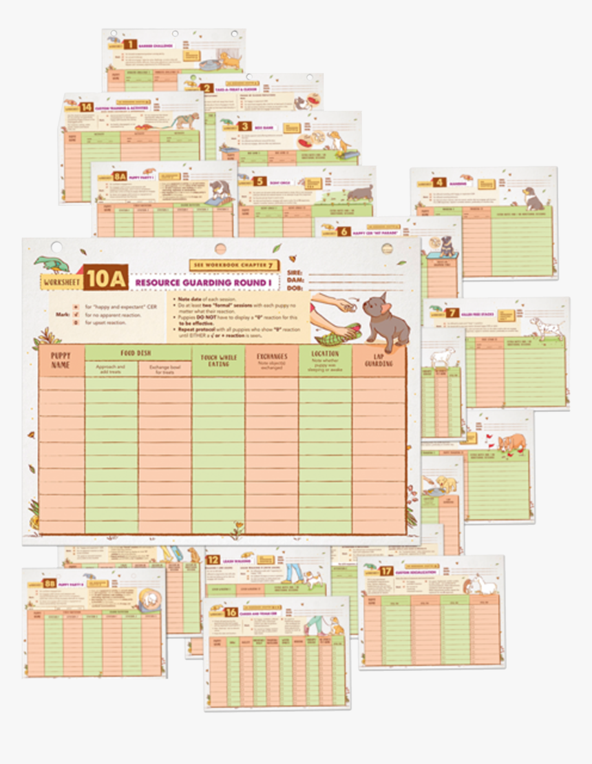 Expand Dong Png, Transparent Png