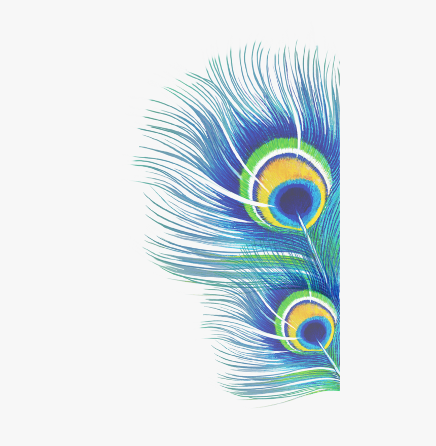 Peacocks2, HD Png Download
