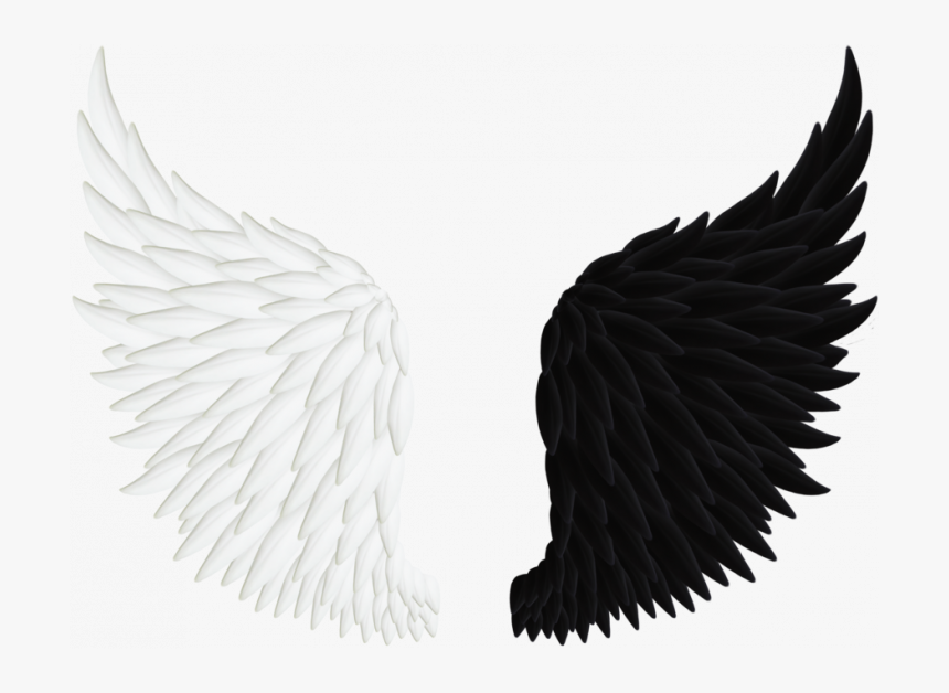 Peacock Wings Png, Transparent Png