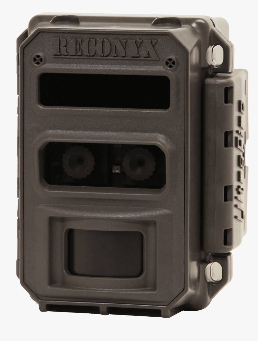 Peacock Wings Png, Transparent Png