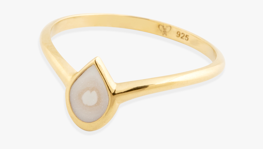 Peacock Wings Png, Transparent Png