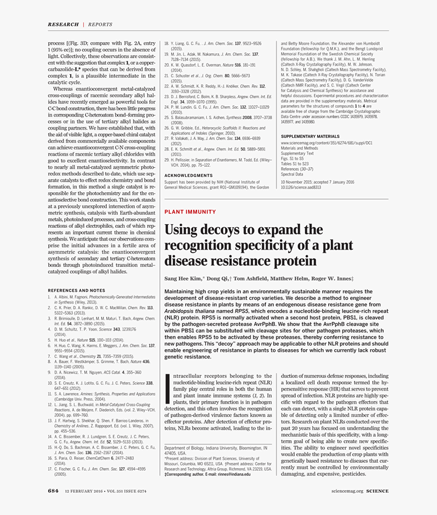 Expand Dong Png, Transparent Png