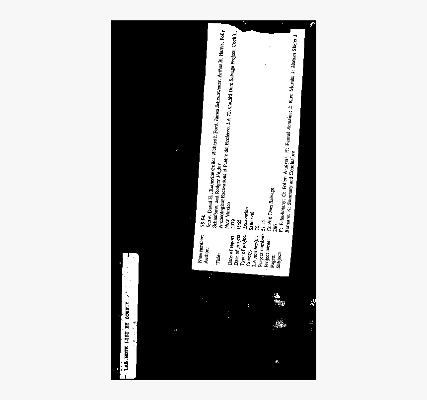 Oneyng Faces Png, Transparent Png