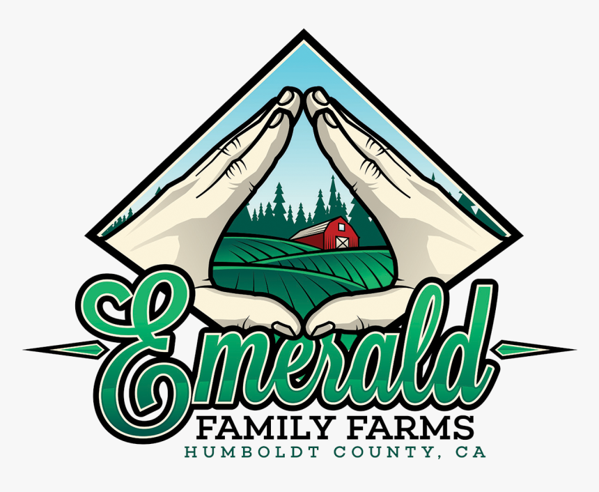 List Of Synonyms And Antonyms Of The Word, HD Png Download