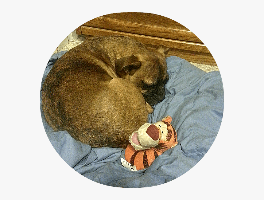 Grump And His Dog Toy, HD Png Download