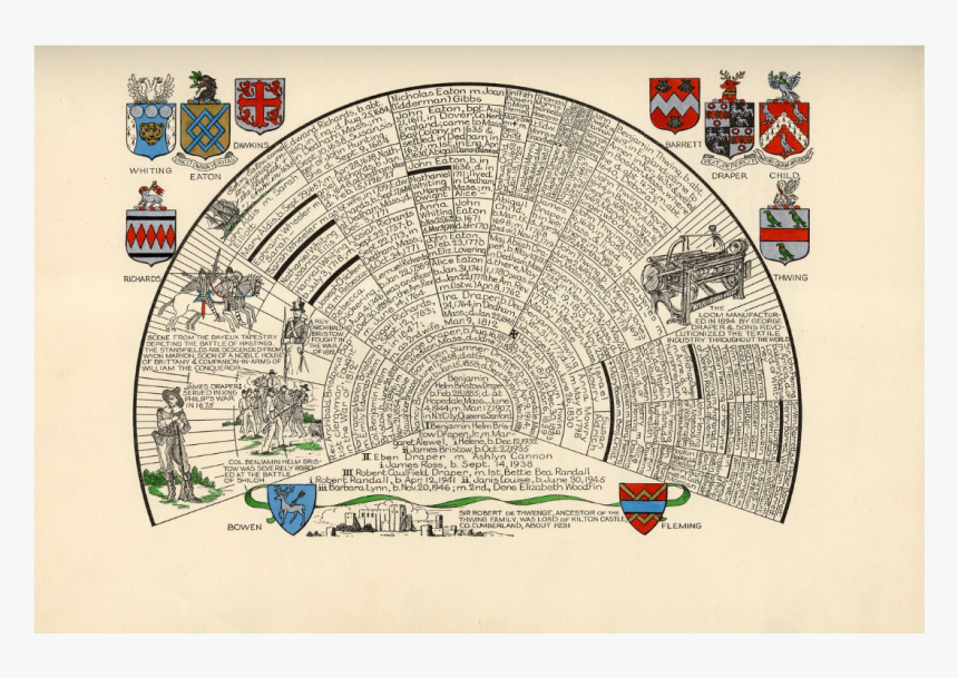 Librarian Png, Transparent Png