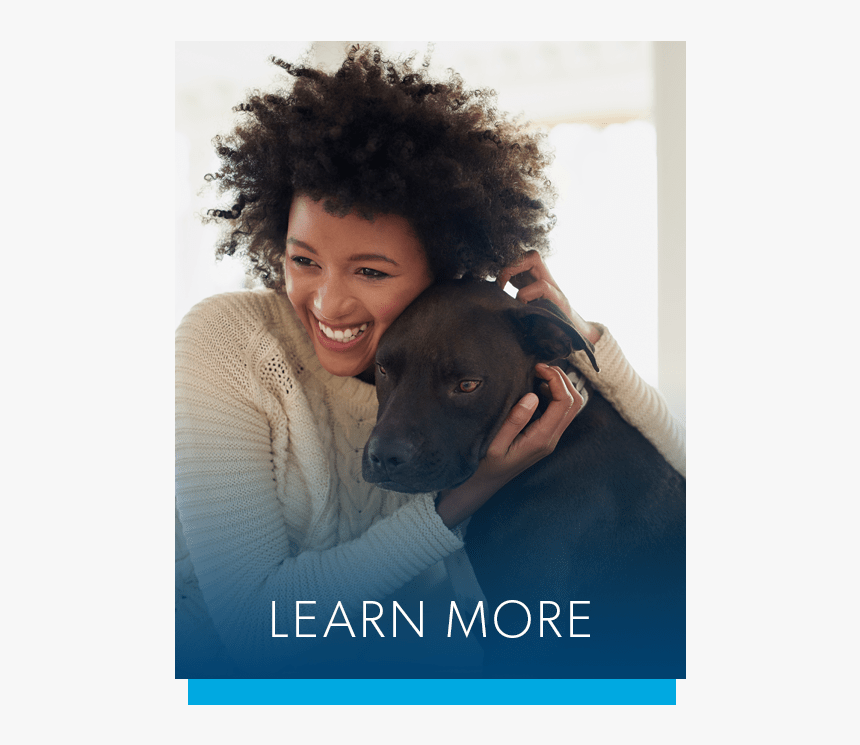 Learn More About Taylor Park Apartment Homes Amenities, HD Png Download