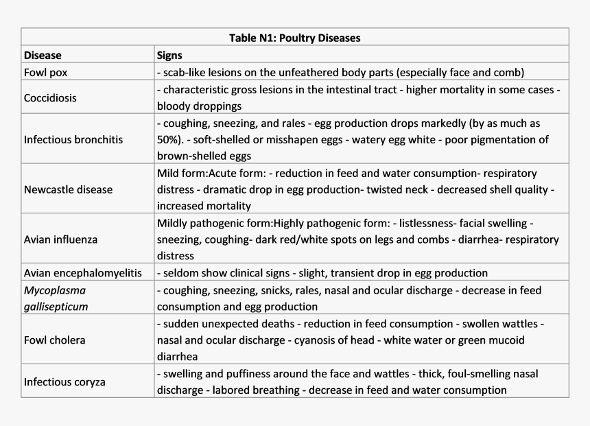Haiti Png, Transparent Png