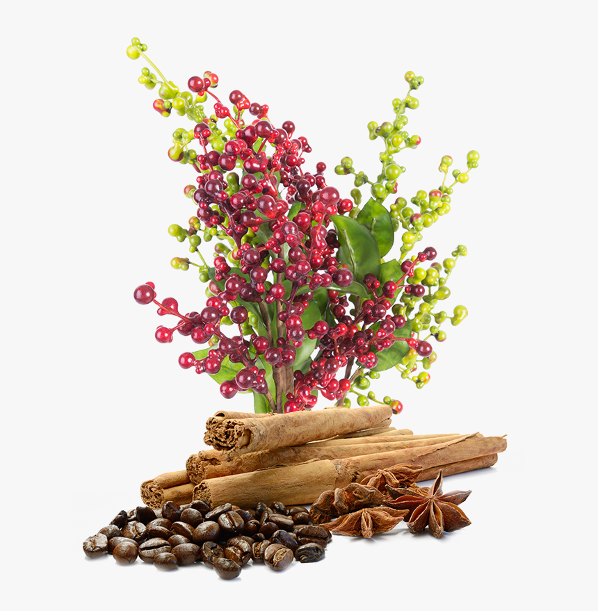 Image, HD Png Download