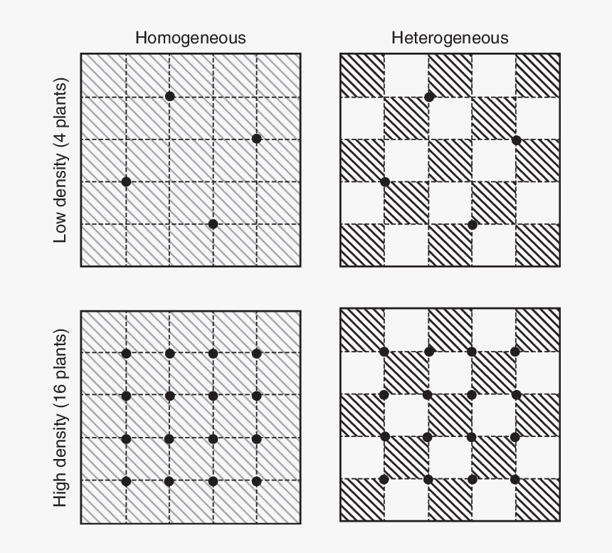 Squares Design Png, Transparent Png