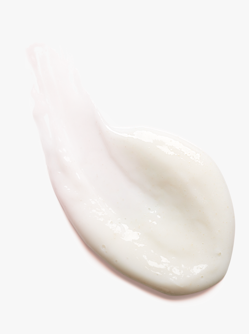 Scrub Png, Transparent Png