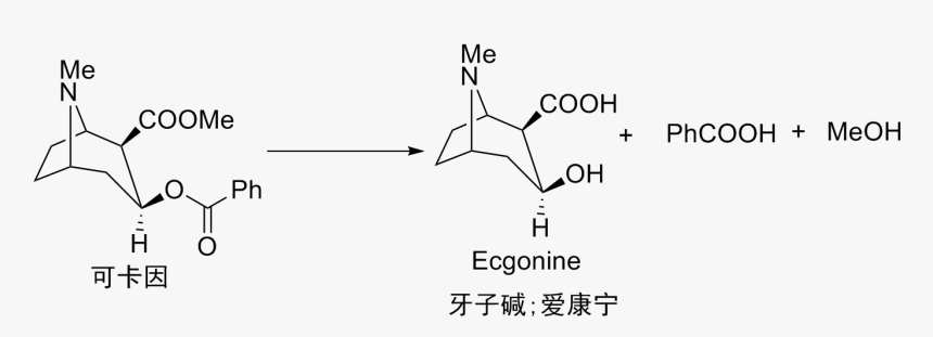 Transparent Cocaine Png, Png Download