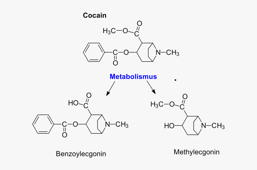 Cocain Png, Transparent Png